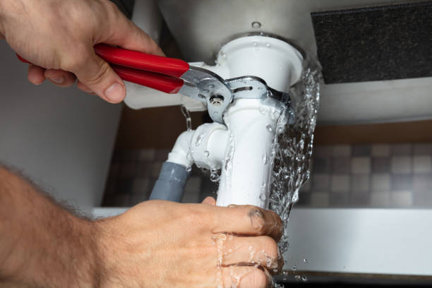 Best Flooded house restoration  in St James City, FL