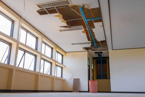 Best Sewage cleanup and water damage restoration  in St James City, FL