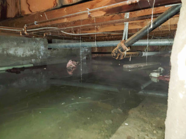 Sewage cleanup and water damage restoration in FL