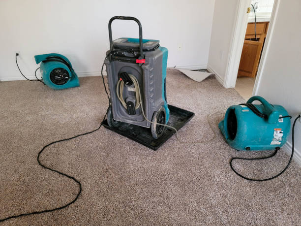  St James City, FL Water damage restoration Pros