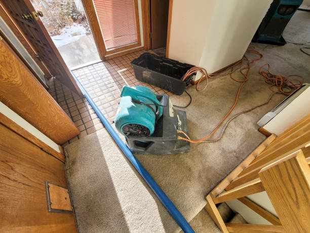 Best 24/7 water damage repair  in St James City, FL