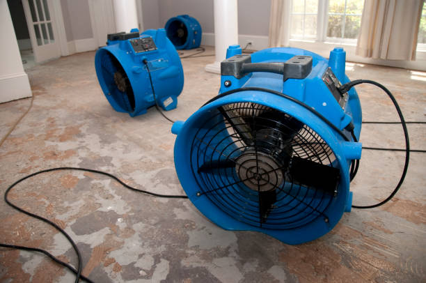 Best Residential water damage restoration  in St James City, FL