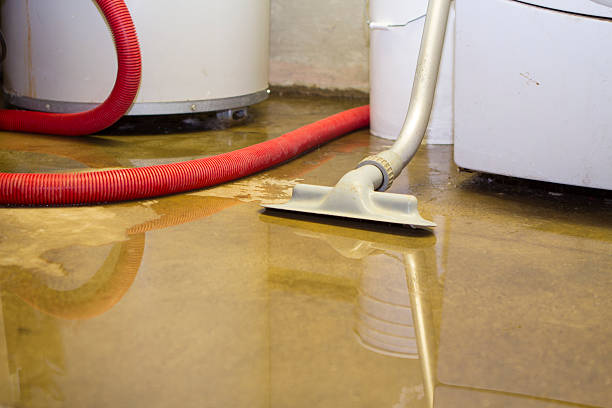 Best Water damage cleanup near me  in St James City, FL