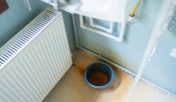 Best Carpet water damage restoration  in St James City, FL