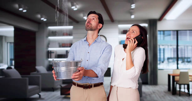 Best Water damage cleanup near me  in St James City, FL